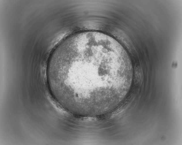 X0000093510398200710261202