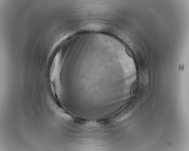 X0000093510399200710261202