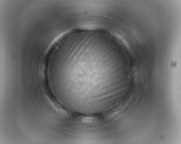 X0000093510400200710261202