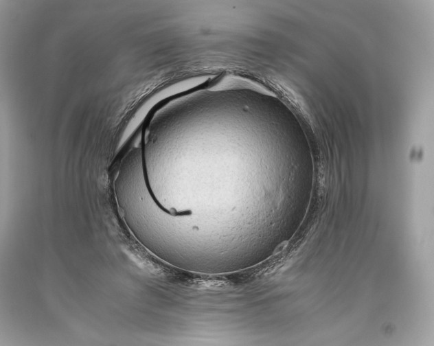 X0000093510401200710261202