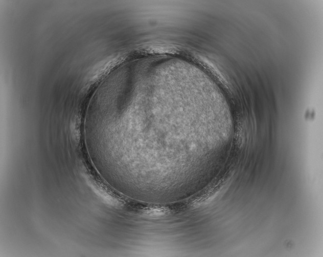 X0000093510402200710261202