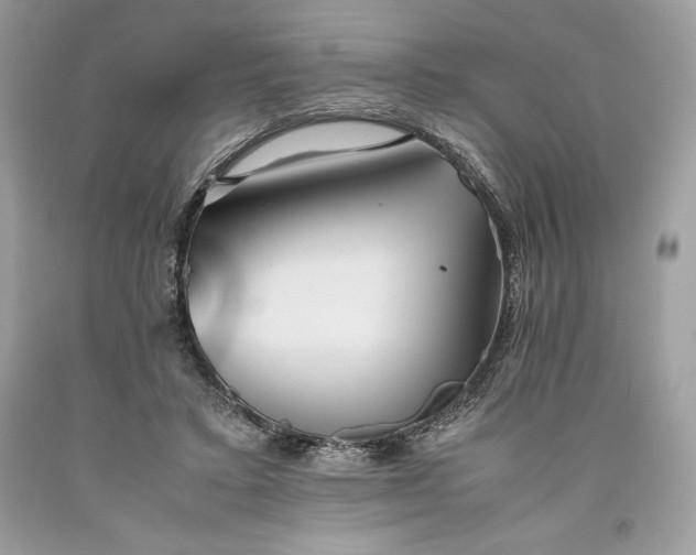 X0000093510403200710261202