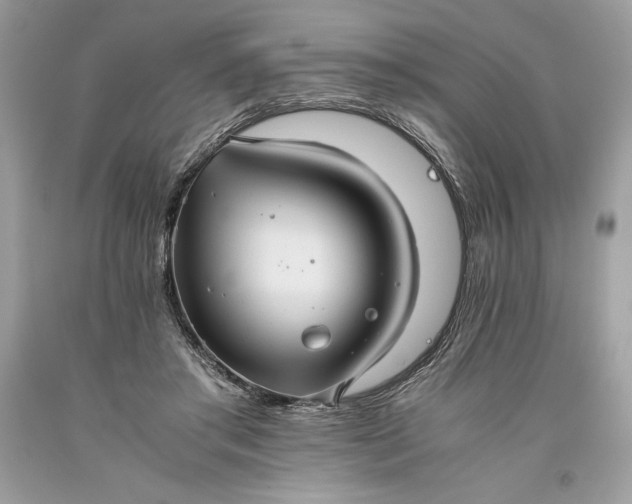 X0000093510405200710261202