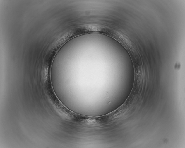 X0000093510406200710261202