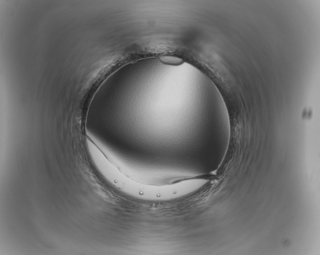 X0000093510407200710261202