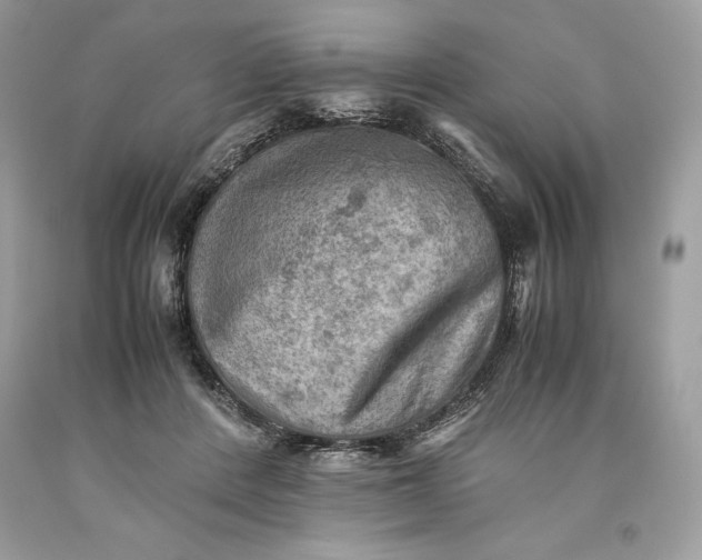 X0000093510408200710261202