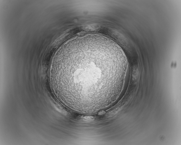 X0000093510409200710261202