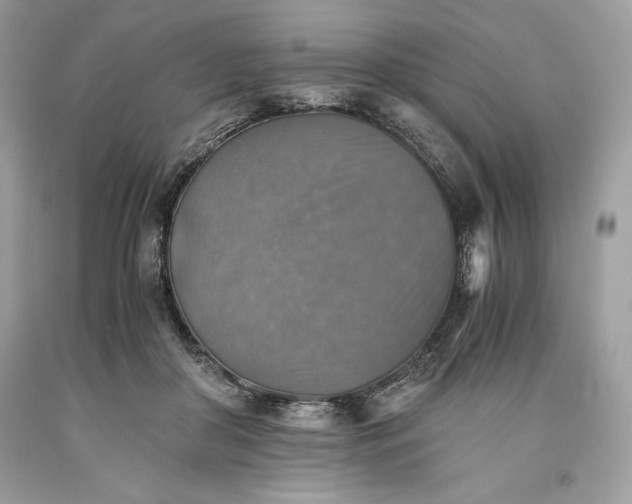 X0000093510410200710261202