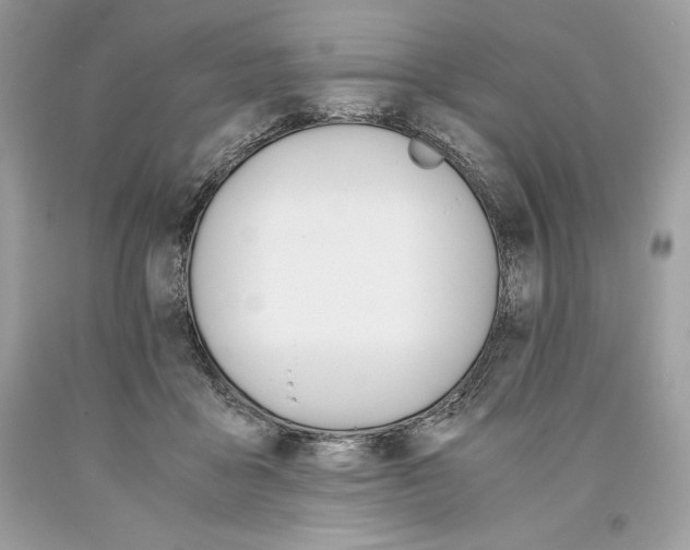 X0000093510411200710261202