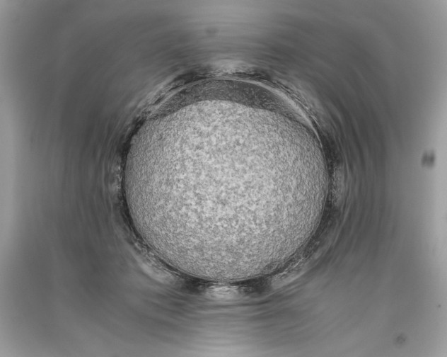 X0000093510413200710261202