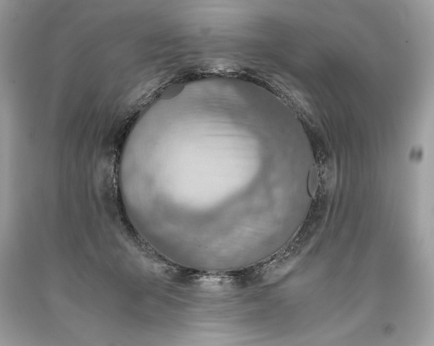 X0000093510415200710261202