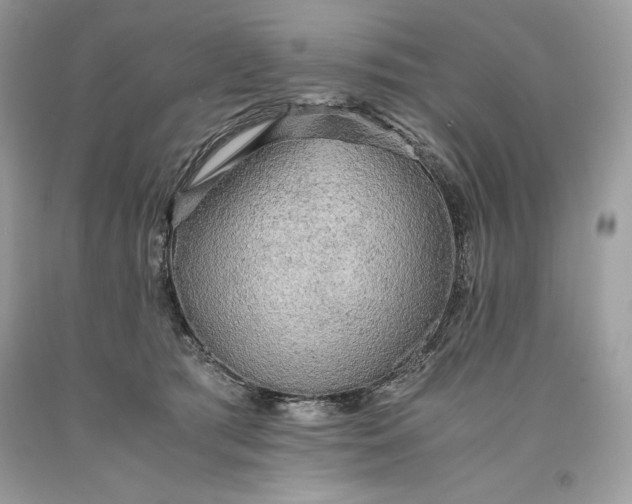 X0000093510417200710261202