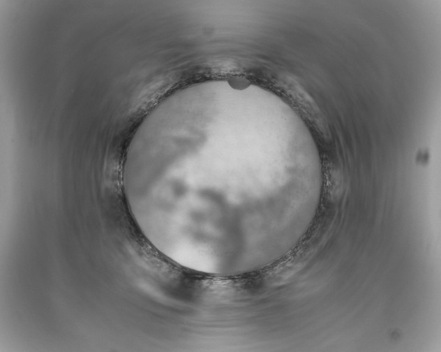 X0000093510419200710261202