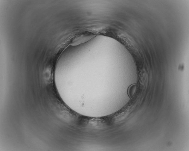 X0000093510420200710261202