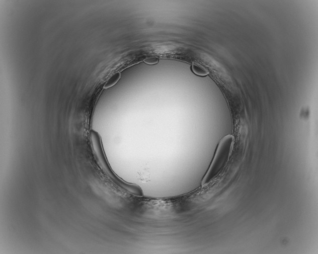 X0000093510421200710261202