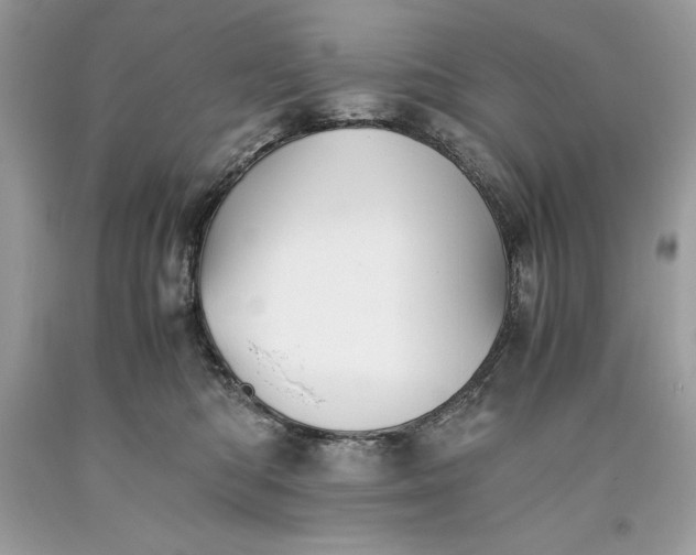 X0000093510422200710261202