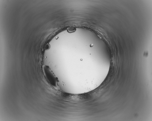 X0000093510423200710261202