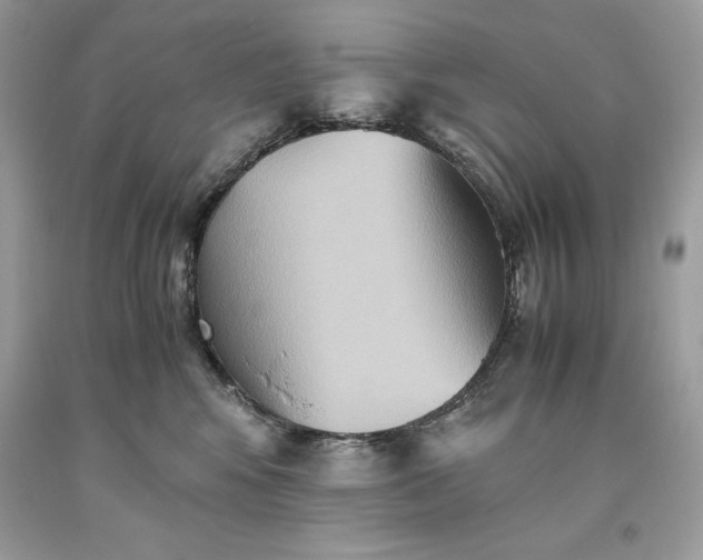 X0000093510424200710261202