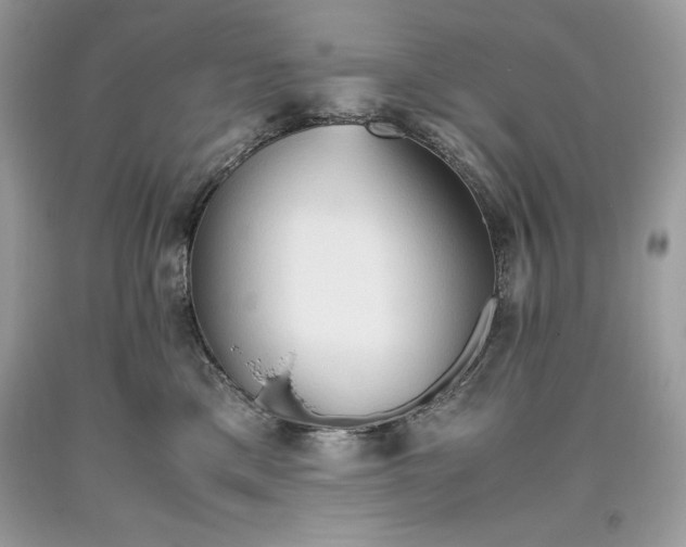 X0000093510425200710261202