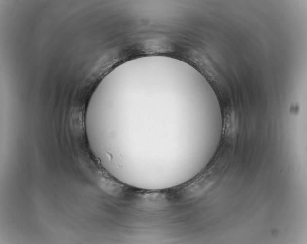 X0000093510426200710261202