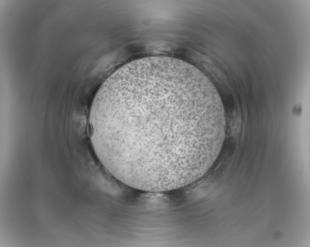 X0000093510427200710261202