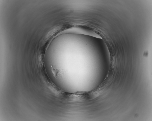 X0000093510428200710261202