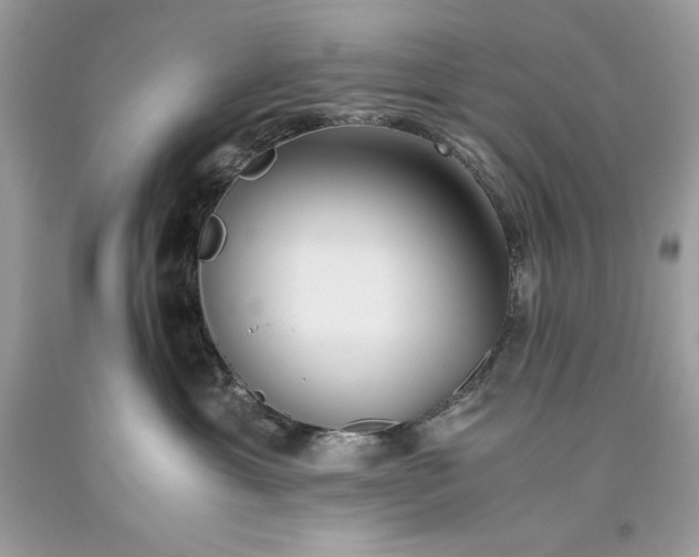 X0000093510429200710261202