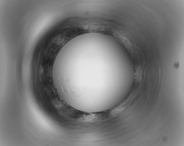 X0000093510430200710261202