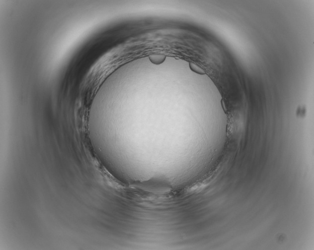 X0000093510431200710261201