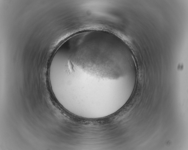 X0000093510434200710261201