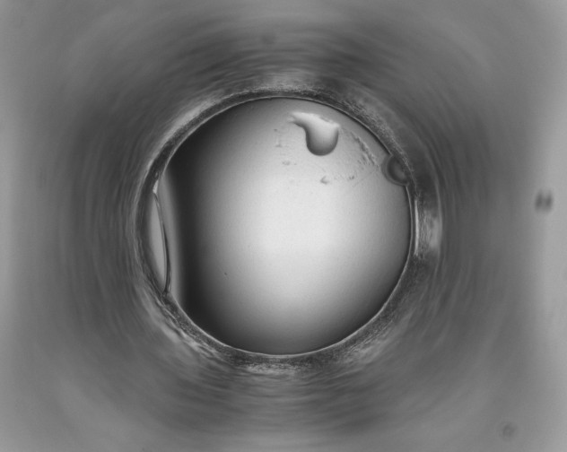 X0000093510435200710261201