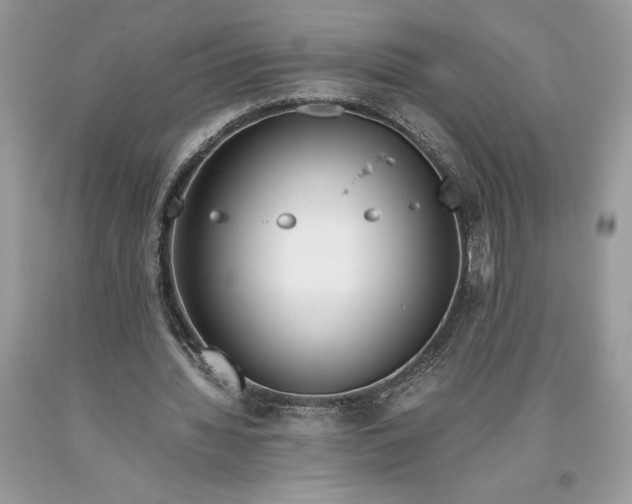 X0000093510436200710261201