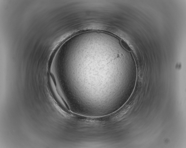 X0000093510437200710261201