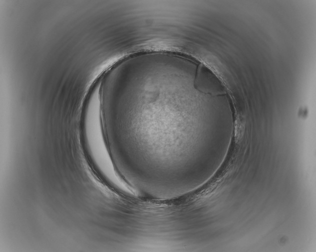 X0000093510438200710261201