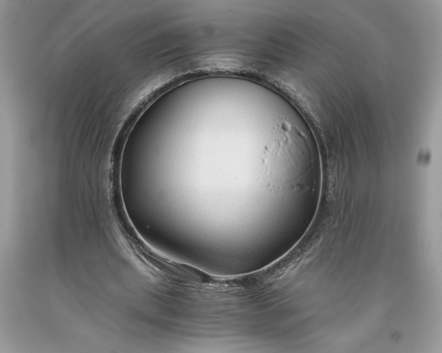 X0000093510439200710261201