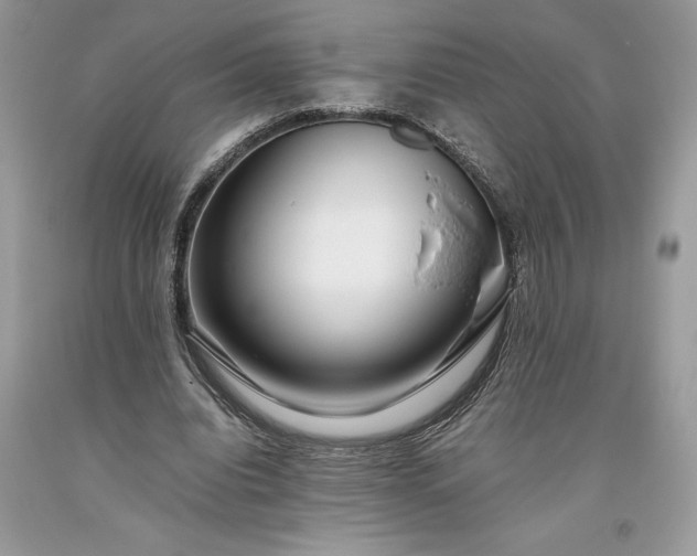 X0000093510440200710261201