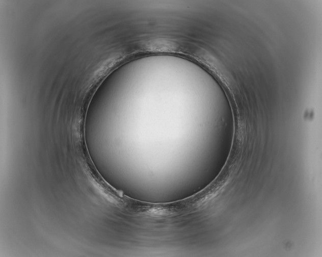 X0000093510441200710261201