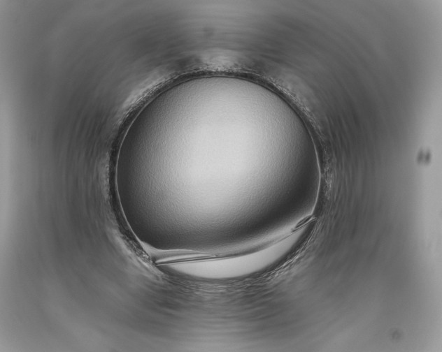 X0000093510442200710261201