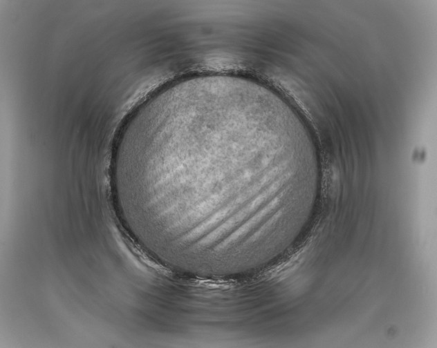 X0000093510443200710261201