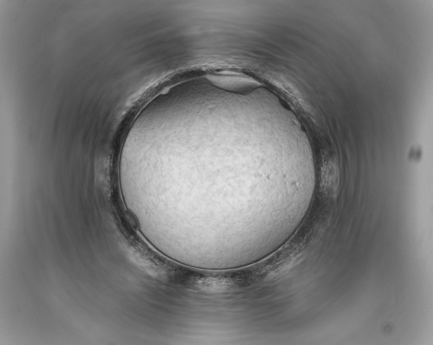 X0000093510444200710261201