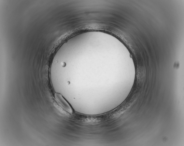 X0000093510445200710261201