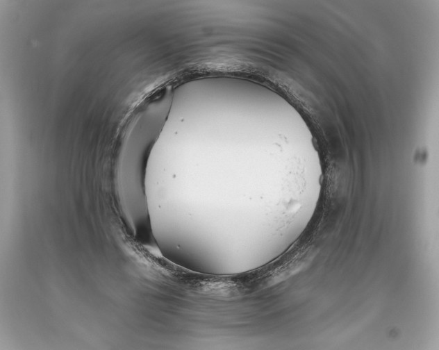 X0000093510446200710261201