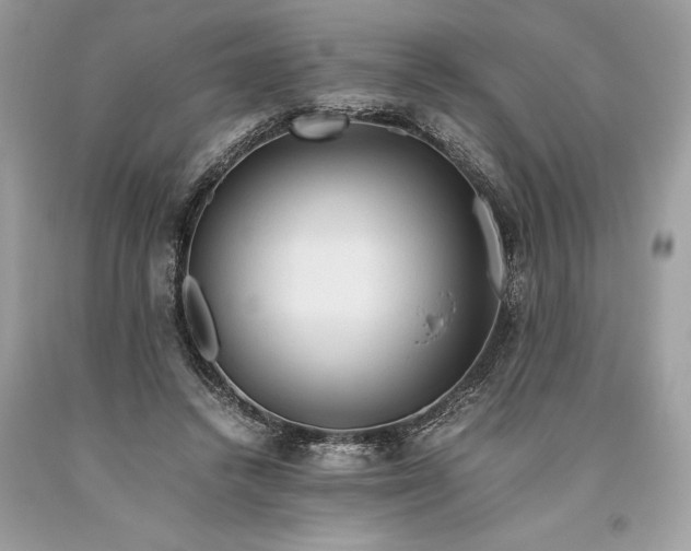 X0000093510448200710261201