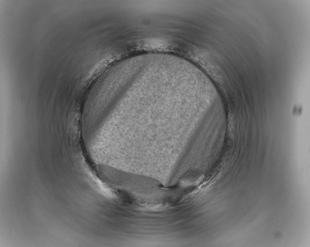 X0000093510449200710261201