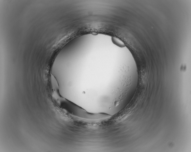 X0000093510450200710261201