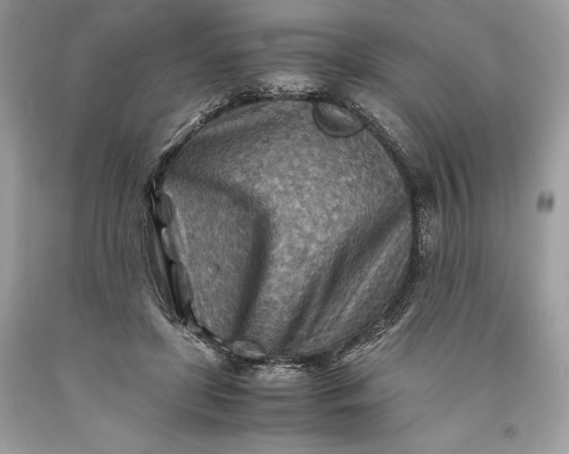 X0000093510451200710261201