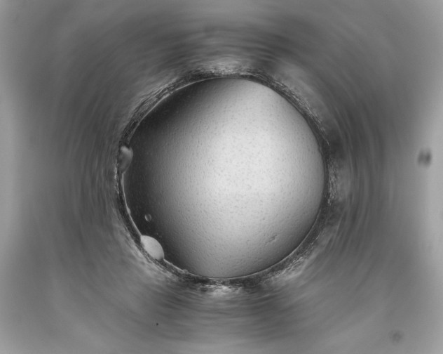 X0000093510453200710261201