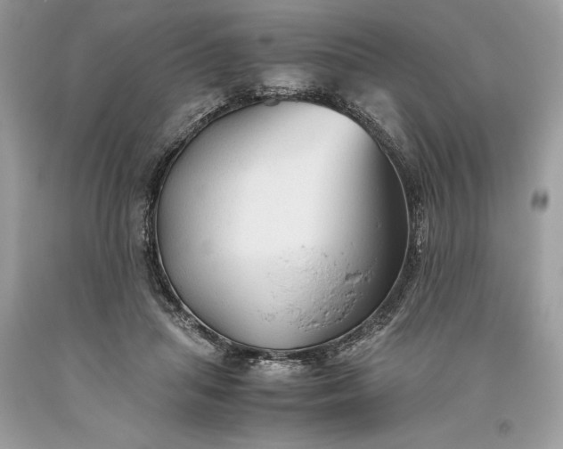 X0000093510455200710261201