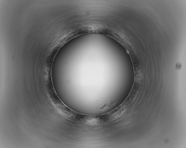 X0000093510456200710261201