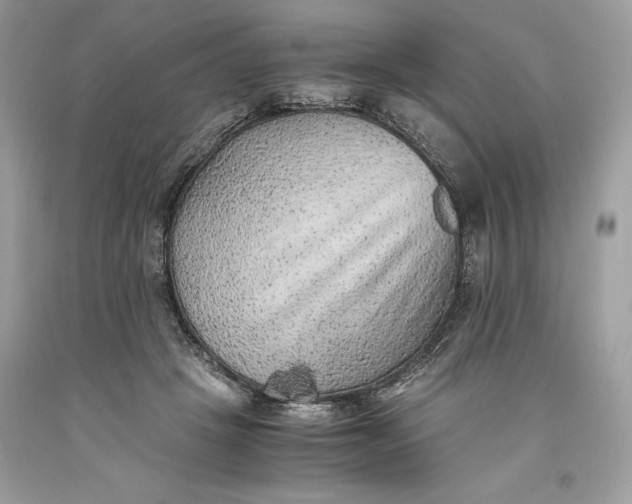 X0000093510457200710261201